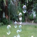 Bubbles